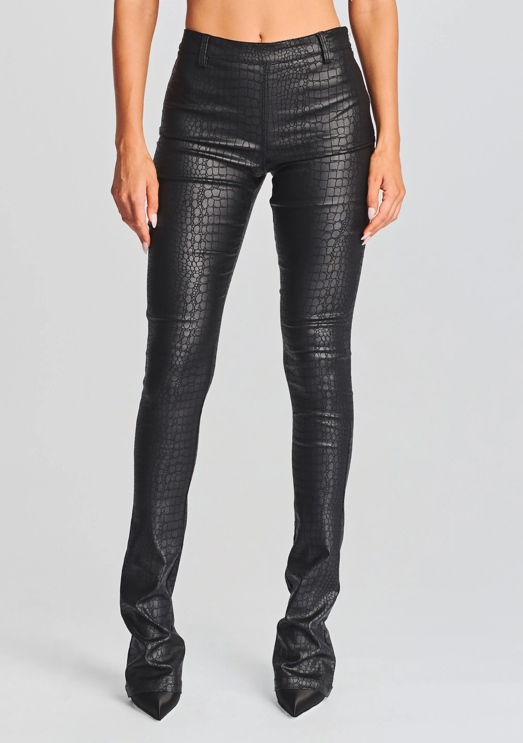 Danica Pant