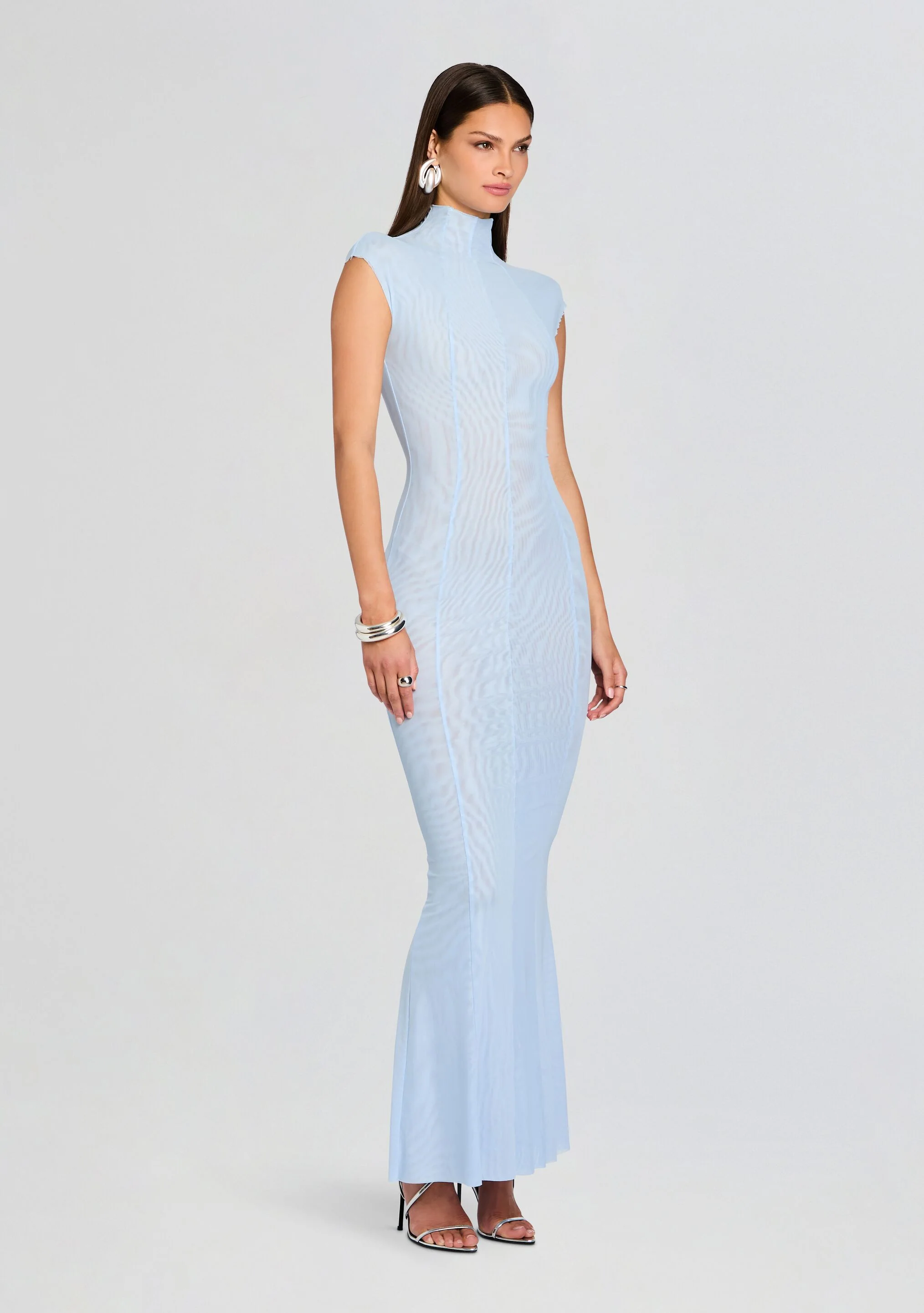 Laissa Mesh Maxi Dress - Image 3